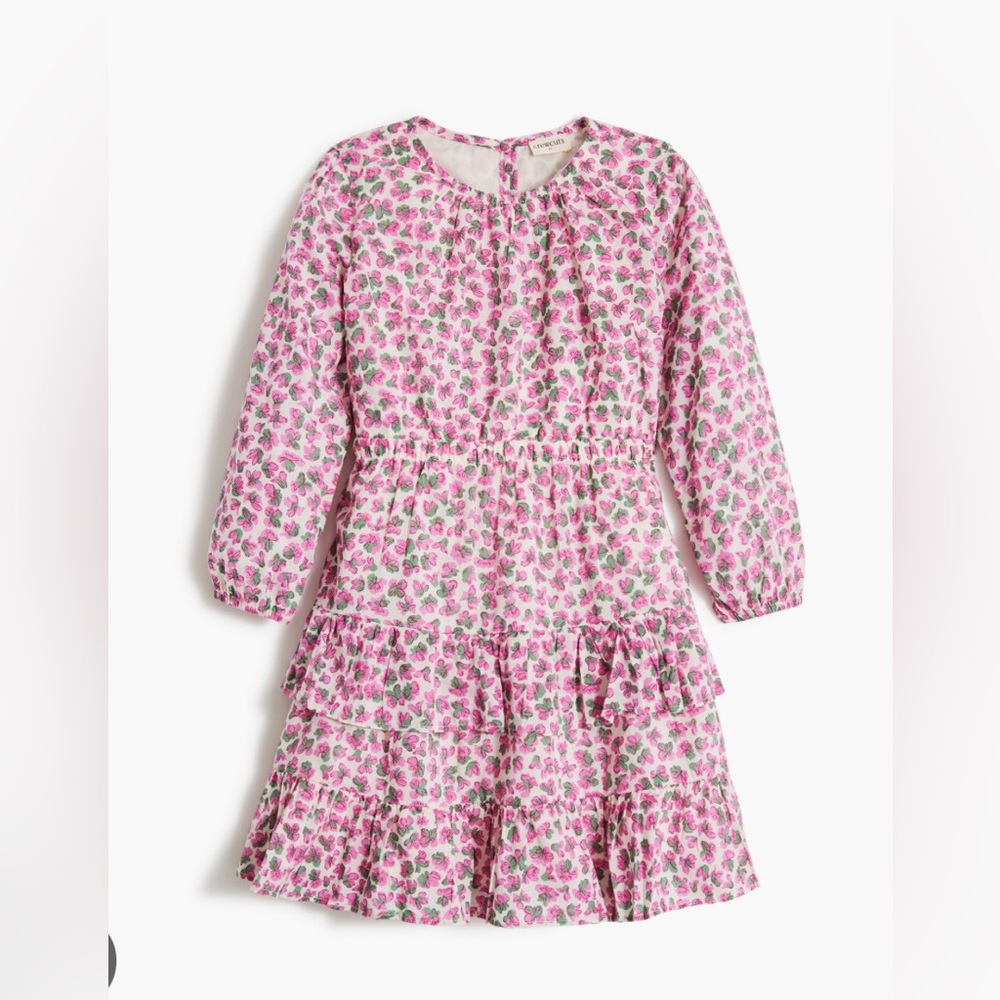 Jcrew Crewcuts Floral Long Sleeve Dress